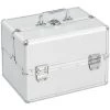 VidaXL Mallette à Maquillage 22x30x21 Cm Argenté Aluminium - Argent