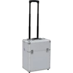 VidaXL Valise De Pilote 39 X 47 X 25 Cm Argenté Aluminium - Argent