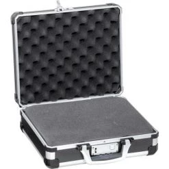 TOOLCRAFT TO-5091540 Universelle Valise Doutillage Non équipée 1 Pièce (l X H X P) 325 X 135 X 355 Mm